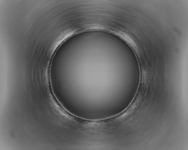 X0000115600806200911101404