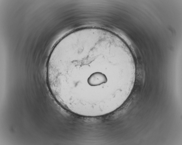 X0000115600807200911101404