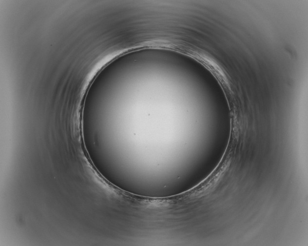 X0000115600808200911101404