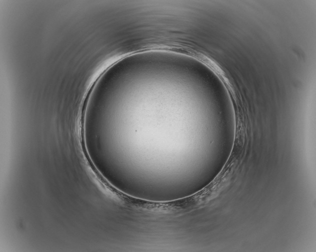 X0000115600811200911101404