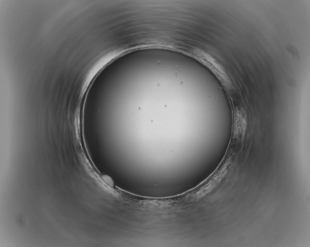 X0000115600812200911101404