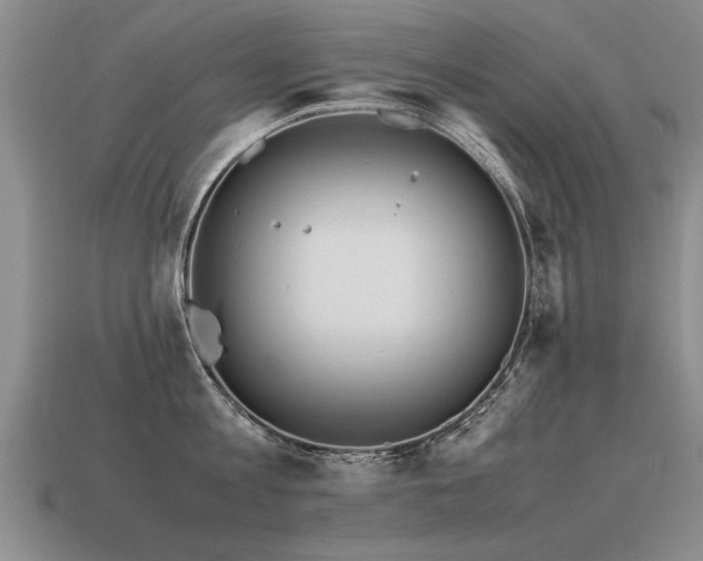 X0000115600813200911101404