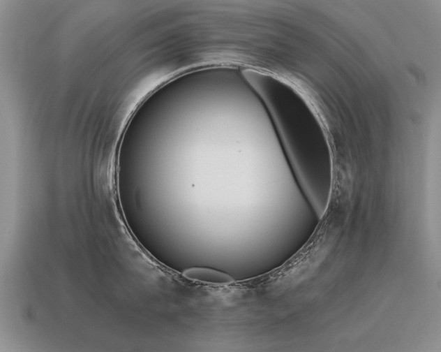 X0000115600815200911101404