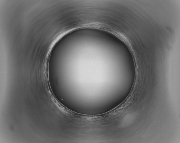 X0000115600816200911101404
