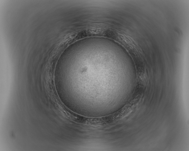 X0000115600817200911101404