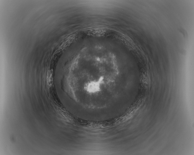 X0000115600818200911101404