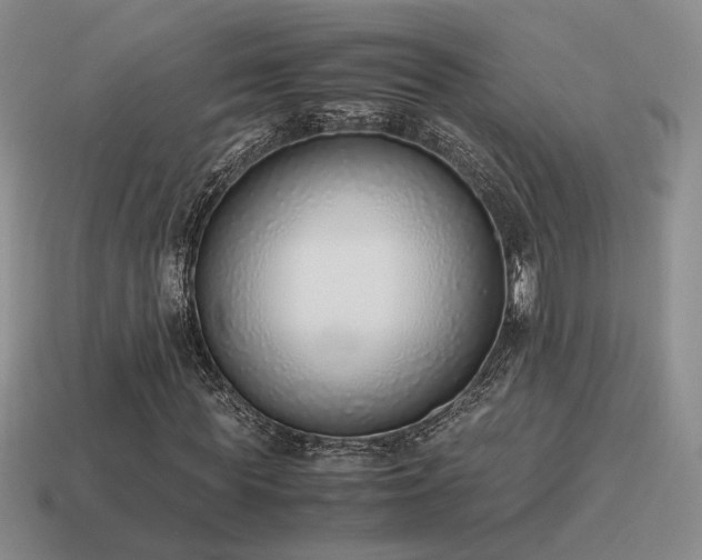X0000115600819200911101404