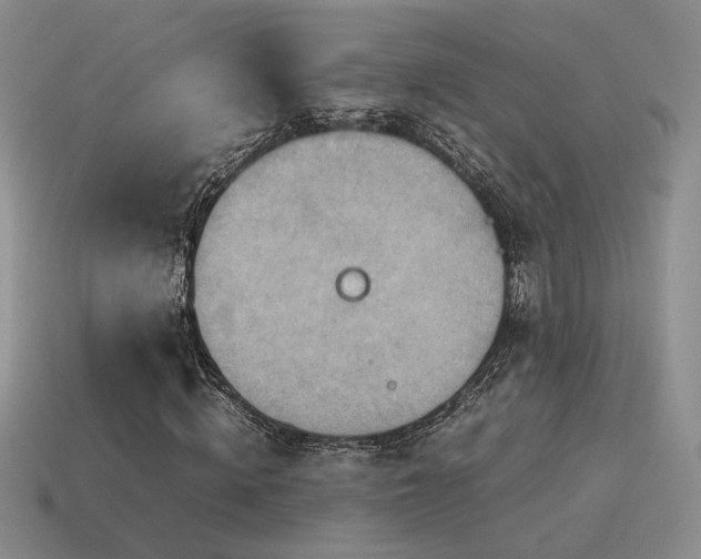 X0000115600820200911101404