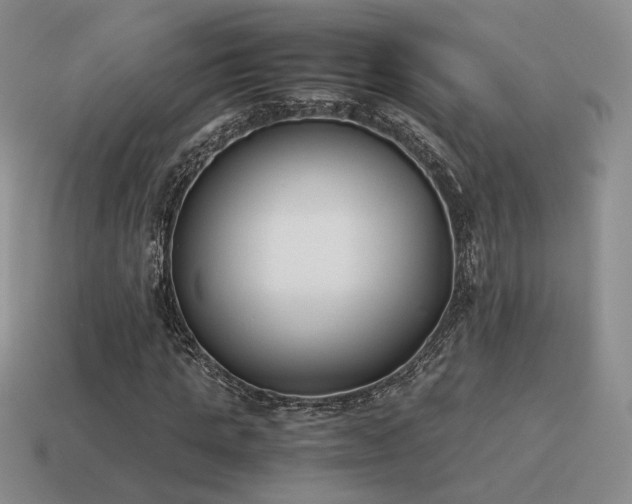 X0000115600821200911101404
