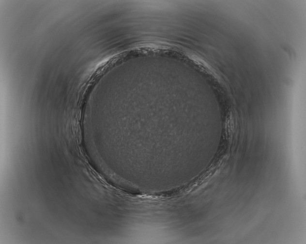X0000115600822200911101404