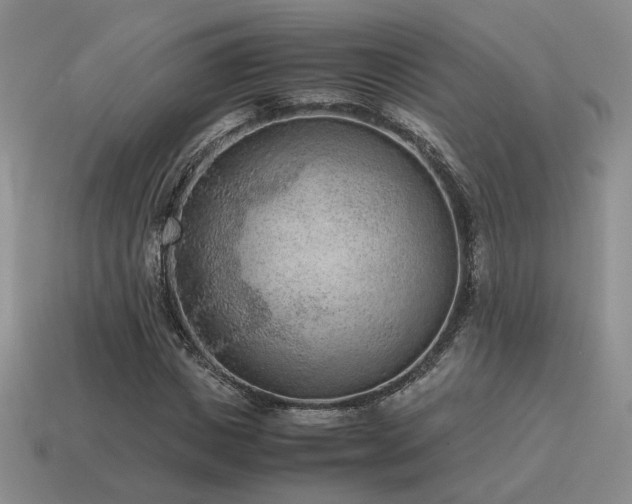 X0000115600825200911101404