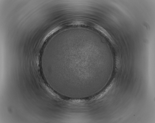 X0000115600826200911101404