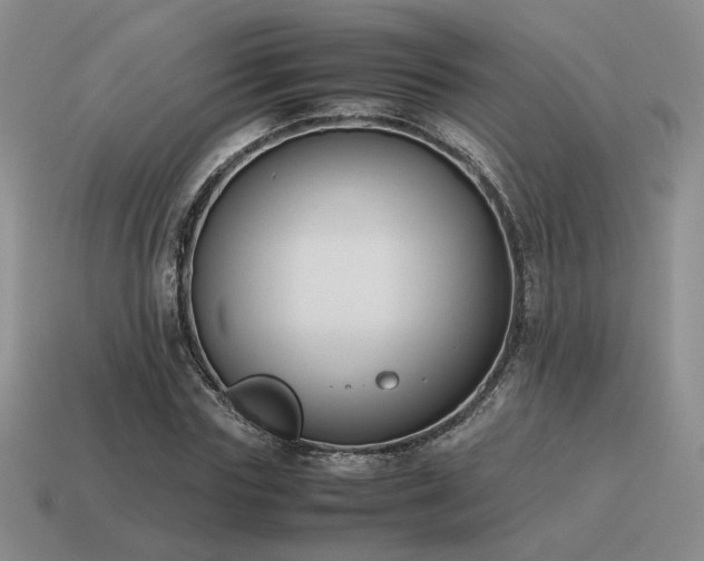 X0000115600827200911101404