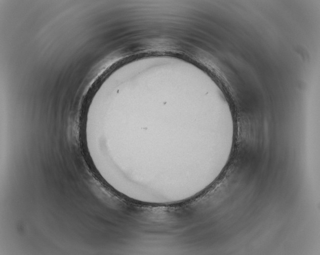 X0000115600828200911101404