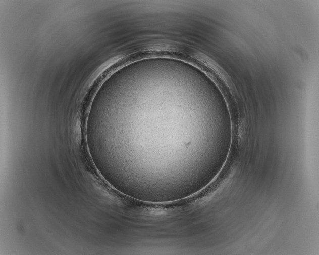 X0000115600829200911101404