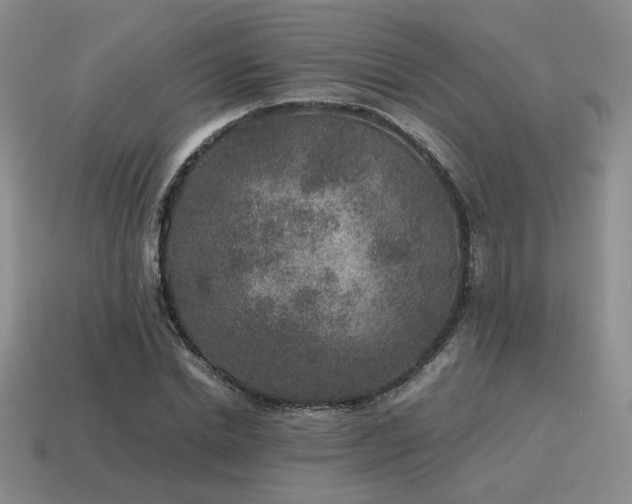 X0000115600830200911101404