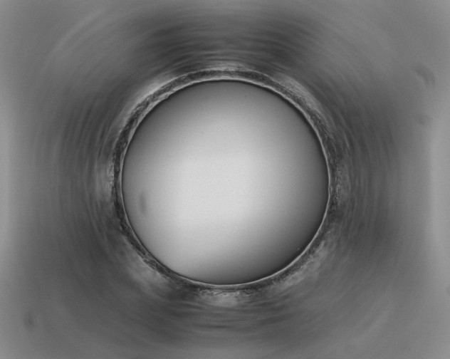 X0000115600831200911101404