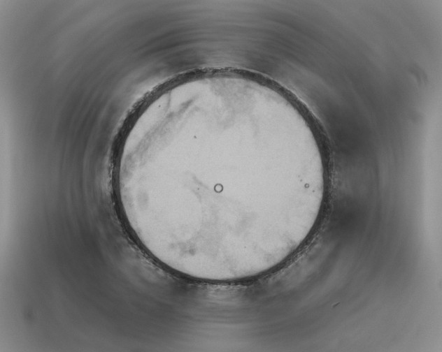 X0000115600832200911101404