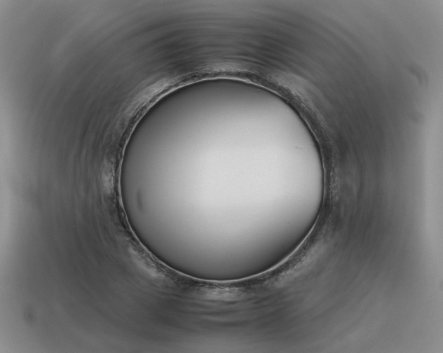 X0000115600833200911101404
