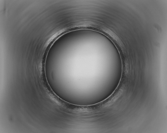 X0000115600834200911101404