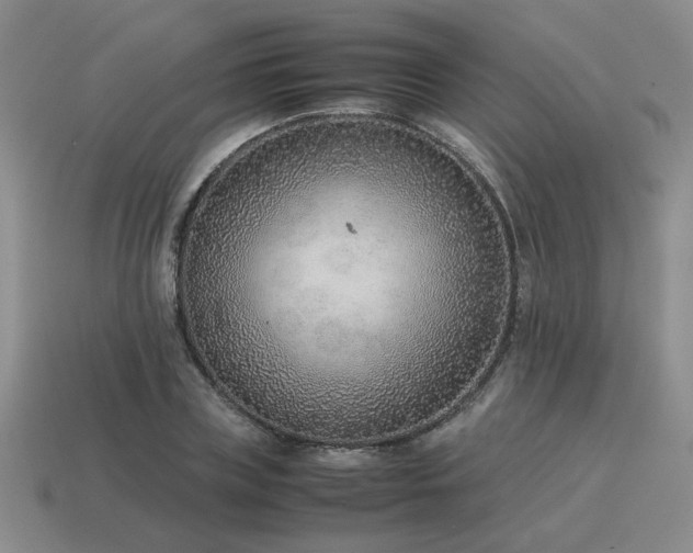 X0000115600835200911101404