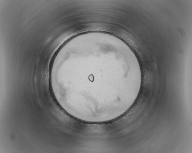 X0000115600836200911101404