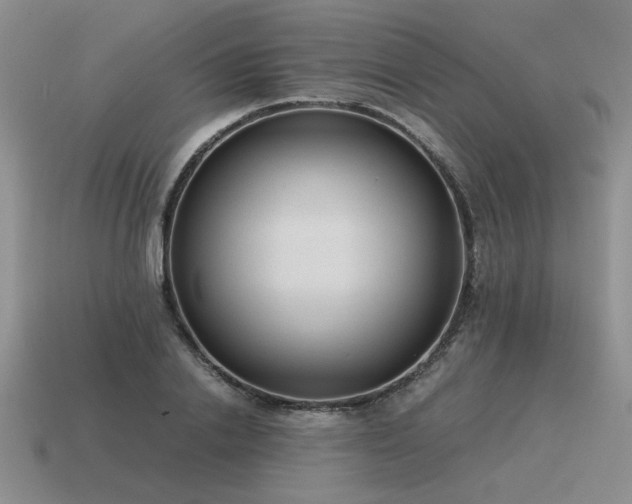 X0000115600838200911101404
