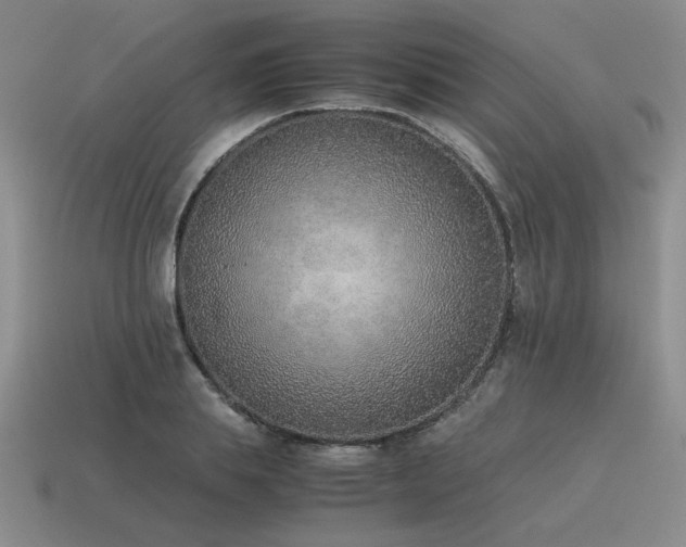 X0000115600839200911101404