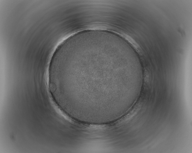 X0000115600840200911101404