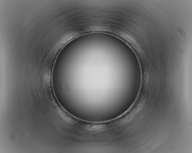 X0000115600841200911101404