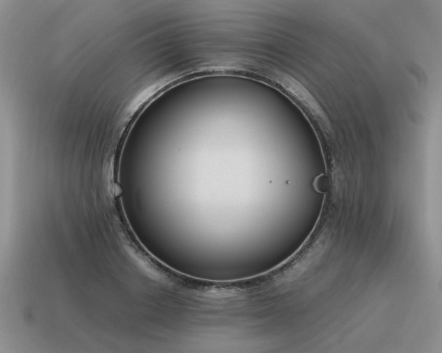 X0000115600842200911101404