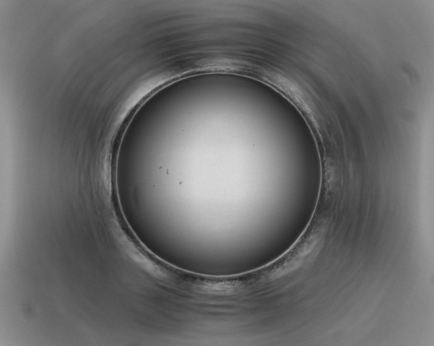 X0000115600843200911101404