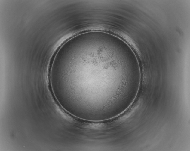 X0000115600845200911101404