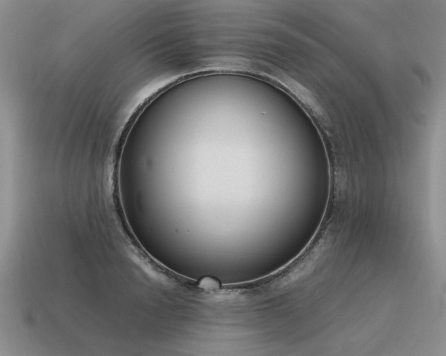 X0000115600846200911101404