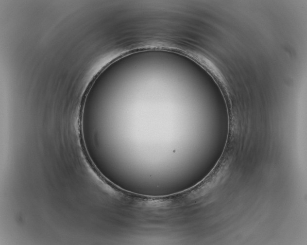 X0000115600847200911101404