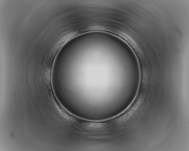 X0000115600849200911101404