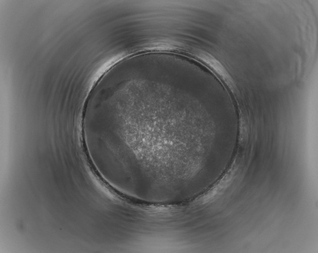 X0000115600850200911101404