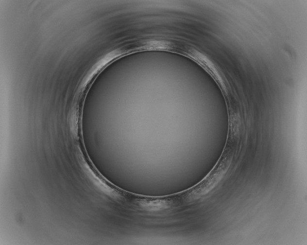 X0000115600851200911101404