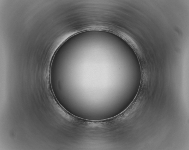 X0000115600852200911101404