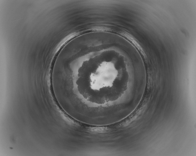 X0000115600853200911101404