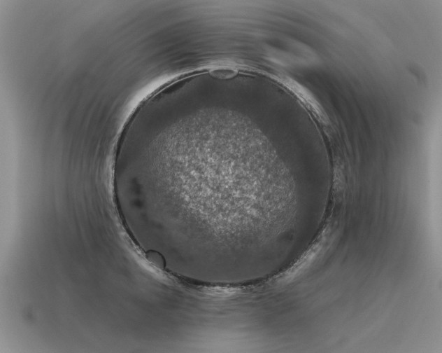 X0000115600854200911101404