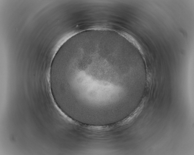 X0000115600855200911101404