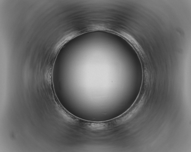 X0000115600857200911101404
