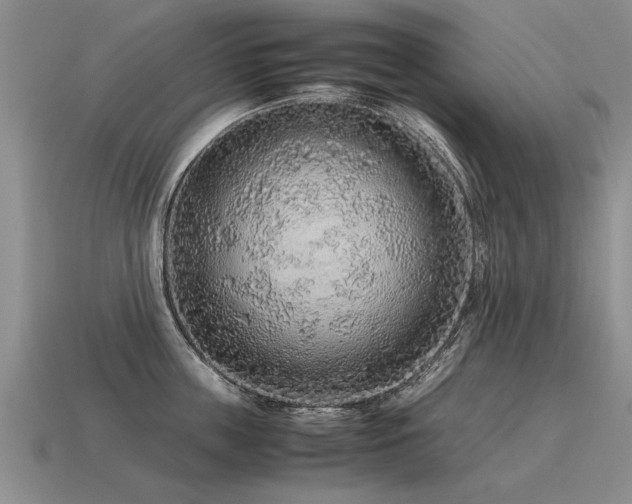 X0000115600859200911101404