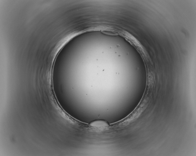 X0000115600860200911101404