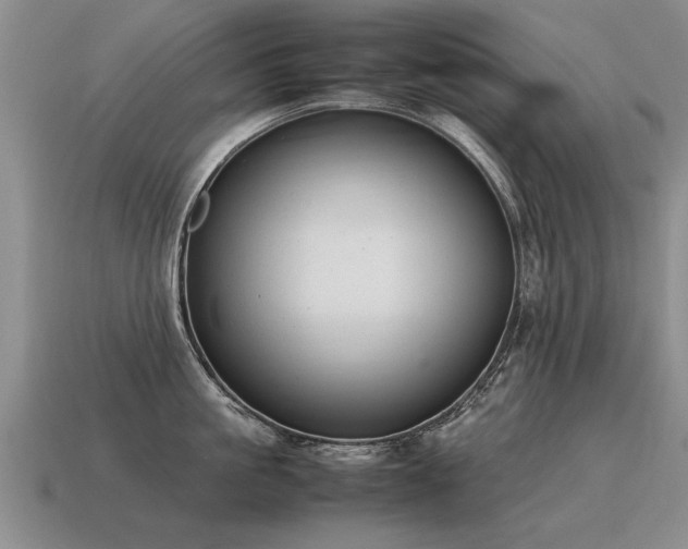 X0000115600861200911101404