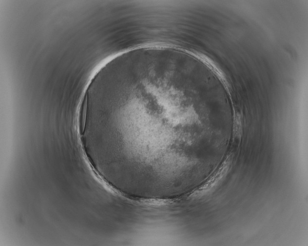 X0000115600862200911101404
