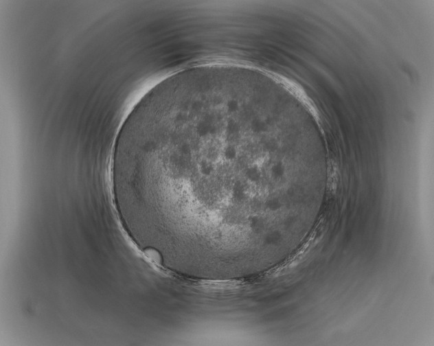 X0000115600863200911101404