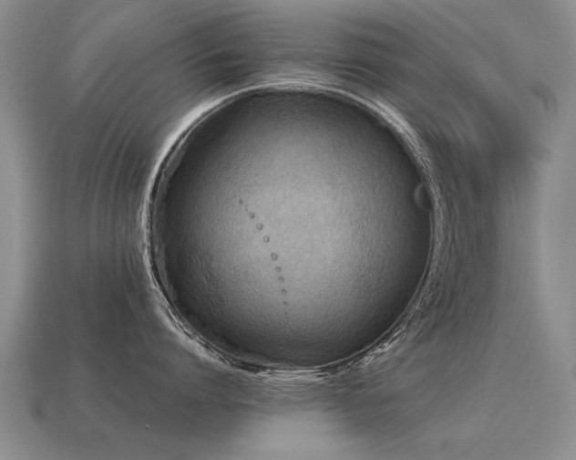 X0000115600864200911101404
