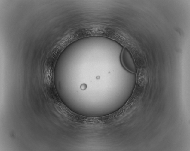 X0000115600866200911101404